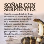 🐍 ¿Qué significa soñar con agarrar una serpiente de la cabeza? Descubre su significado y simbolismo 🤔