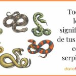 🐍🔮 Descubre el significado de soñar con muchas serpientes grandes y pequeñas: ¿qué te están revelando tus sueños?