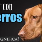 🐶 Descubre qué significa soñar con muchos perros pequeños: una guía completa