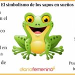 🐸¿Qué significa soñar con sapos según la biblia? Descubre su significado aquí