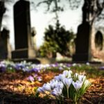 🔍🧐 ¿Qué significa soñar con cementerio y tumbas? Explorando el significado de los sueños 💭💀