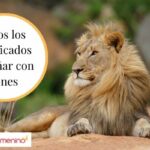 🦁 ¿Qué significa soñar con un león amarillo? ¡Descubre su simbolismo en los sueños! 🌟