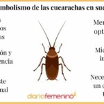 🪳🛌 Descubre el significado de soñar con cucarachas en la cama: Explicación y simbolismo