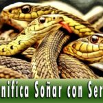 🐍 ¿Qué significa cuando sueñas con una serpiente? Descubre su simbolismo e interpretación