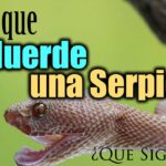 🐍 ¿Qué significa cuando sueñas que te muerde una serpiente? Descubre su interpretación y simbolismo