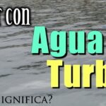 🌊 ¿Qué significa soñar con agua turbia que corre? Descúbrelo aquí