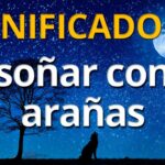 🕷️💤 ¿Qué significa soñar con arañas y matarlas? Explorando el simbolismo detrás de este sueño inquietante