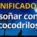 🐊 ¿Qué significa soñar con cocodrilos pero no me atacan? ¡Descubre su interpretación!