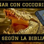 🐊 Descubre el significado bíblico de soñar con cocodrilos: ¿Qué quieren decirte estos reptiles en tus sueños? 📖
