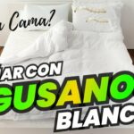 🐛💭 ¿Qué significa soñar con gusanos blancos en la cama? Descubre su simbolismo y mensajes ocultos