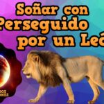 🦁 ¿Qué significa soñar con leones que te persiguen? Descubre su interpretación aquí