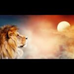 🦁🐯 ¿Qué significa soñar con leones y tigres? Todo lo que debes saber 🌙