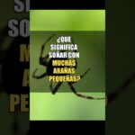 🕷️😱 Descubre qué significa soñar con muchas arañas pequeñas | ¡No te lo puedes perder!