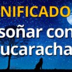 🐛🏠¿Qué significa soñar con muchas cucarachas en la casa? Descubre su simbolismo e interpretación