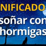 🐜🌚 Descubre qué significa soñar con muchas hormigas negras: Guía completa