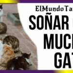 🐱😺 Descubre el significado de soñar con muchos gatos grandes y pequeños: ¡Una revelación felina en tus sueños!