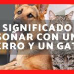 🐶🐱 Descubre el significado de soñar con perros y gatos: ¡El lenguaje oculto de tus sueños!