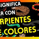 🐍 ¿Qué significa soñar con serpientes de colores? Descubre su significado y simbolismo 🌈