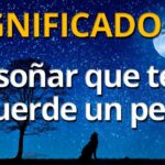 🐶💭 ¿Qué significa soñar con un perro que te muerde? Descubre su interpretación y significado