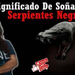 🐍💭¿Qué significa soñar con una cobra negra? Descubre el misterioso simbolismo detrás de este sueño