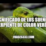 🐍 ¿Qué significa soñar con una culebra verde? Descubre su interpretación y significado