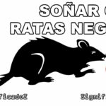 ✨🐀 ¿Qué significa soñar con una rata negra? Descubre el significado de este sueño intrigante