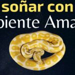 🐍🌼 ¿Qué significa soñar con una víbora amarilla? Descubre su intrigante simbolismo y sus posibles interpretaciones