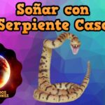 🐍 ¿Qué significa soñar con víboras de cascabel? Descubre su significado e interpretación 🌙