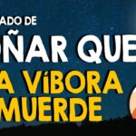 🐍🤔 Descubre qué significa soñar con víboras que te muerden y su impacto en tu vida