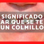 🦷 ¡Descubre qué significa soñar que se te cae un colmillo! 🌙💭