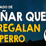 🐶 ¡Descubre qué significa soñar que te regalan un perro! Averigua cómo interpretar este enigmático sueño 🌙