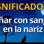 🩸💭 ¿Qué significa soñar que te sangra la nariz? Descubre su interpretación y significado