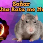 🐀 Descubre qué significa soñar que una rata te muerde: ¡Interpretaciones reveladoras!