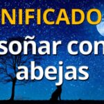 🐝 Descubre el significado de soñar con abejas que te pican: una señal de advertencia 🍯