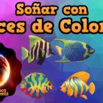 🐠💭 Descubre el significado de soñar con peces de colores: ¡Una señal de buena fortuna!