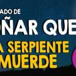 🐍😱 Soñar que una serpiente me ataca pero no te muerde: ¡Descubre el significado de este sueño!